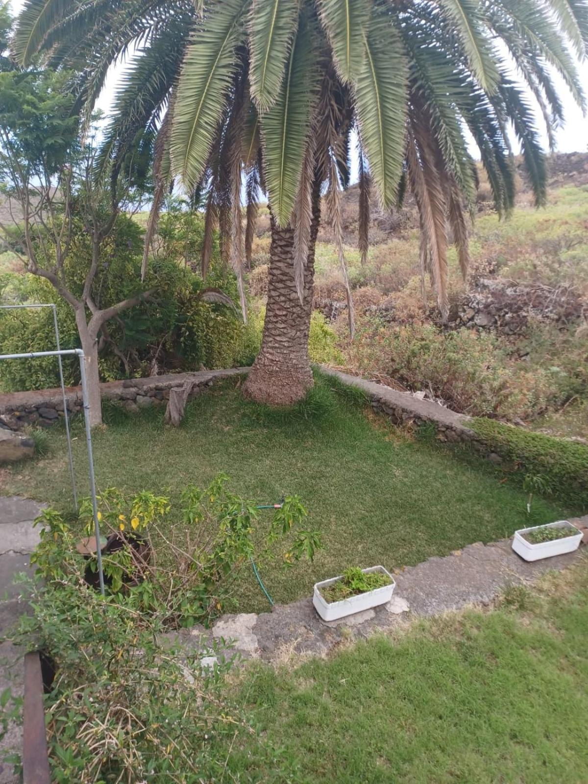Casa Rural El Olivo De Mazo Eksteriør bilde