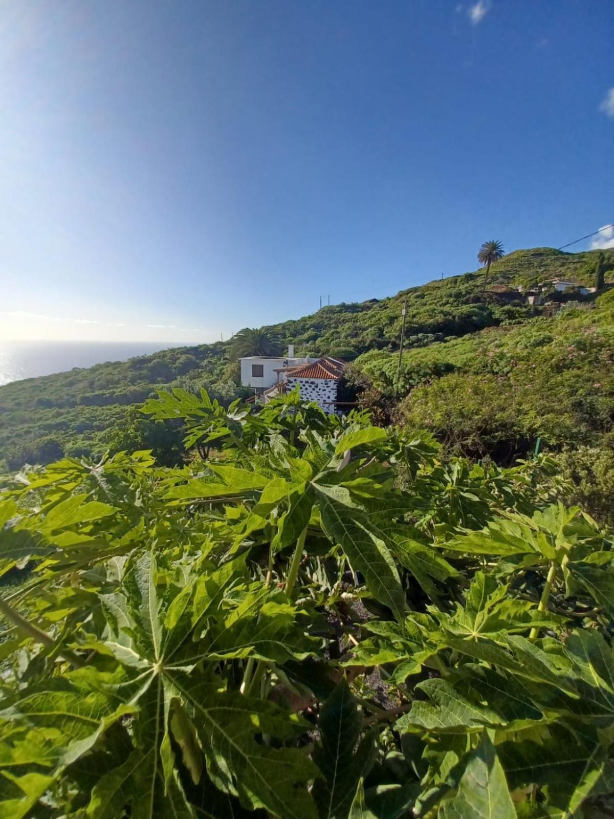 Casa Rural El Olivo De Mazo Eksteriør bilde